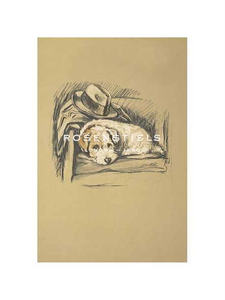 Lucy Dawson Hand Numbered Limited Edition Print on Paper :"Denna, Sealyham Terrier"