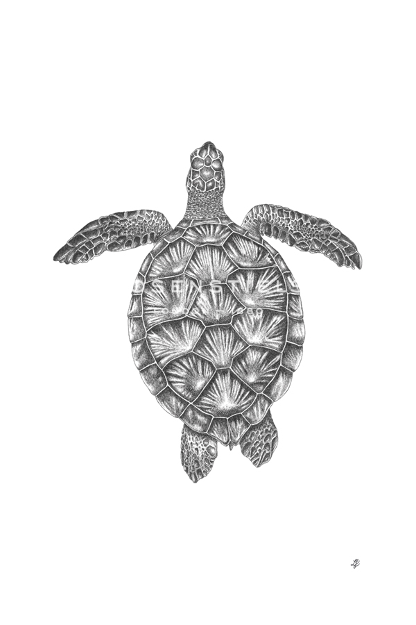 Lucy Francis Hand Numbered Limited Edition Print on Paper :"Ocean Adventure"