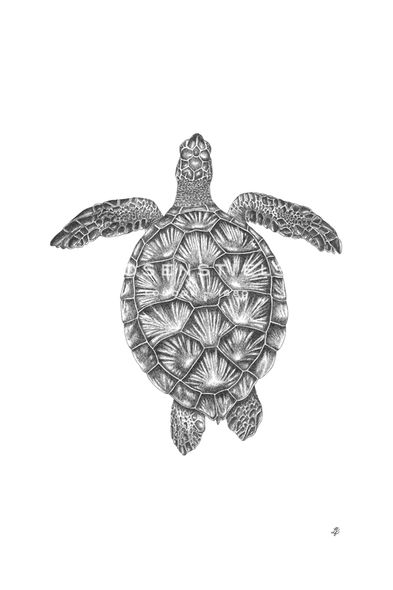 Lucy Francis Hand Numbered Limited Edition Print on Paper :"Ocean Adventure"