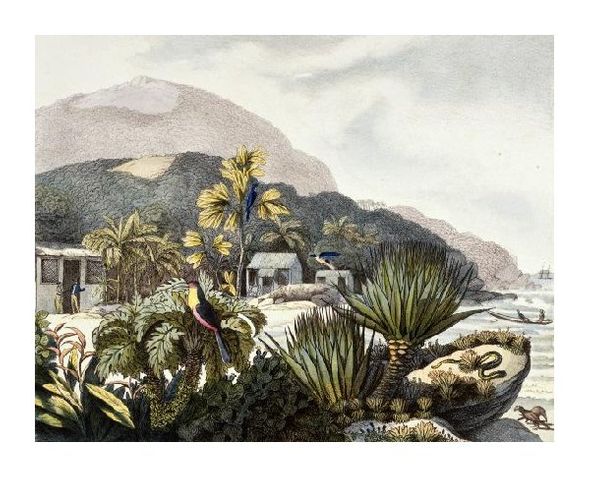 Luis Choris Fine Art Open Edition Gicl&eacute;e:"Brazil"