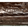 M. Leon Handcrafted Solid Bronze Sculpture"Chariot Race":