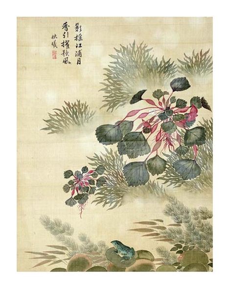 Ma Yuanyu Fine Art Open Edition Gicl&eacute;e:"Water Caktrios and Frog"
