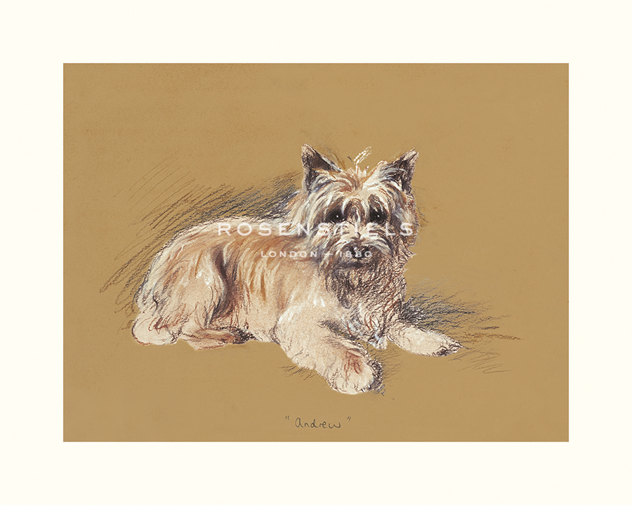 Mac Hand Numbered Limited Edition Print on Paper :"Andrew"