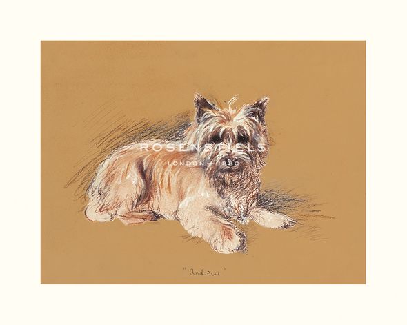 Mac Hand Numbered Limited Edition Print on Paper :"Andrew"