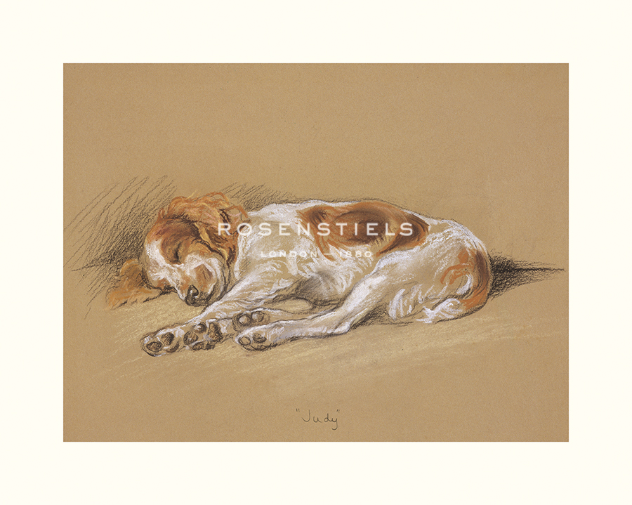 Mac Hand Numbered Limited Edition Print on Paper :"Judy, A Spaniel Puppy"