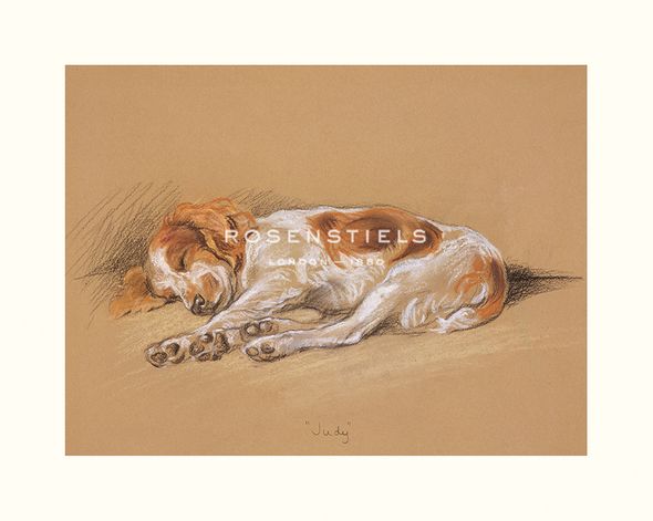 Mac Hand Numbered Limited Edition Print on Paper :"Judy, A Spaniel Puppy"