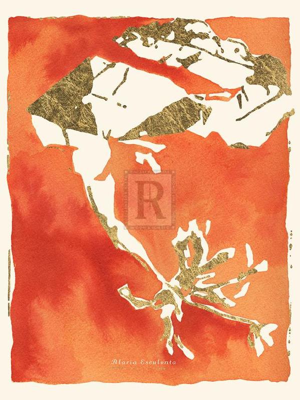 Maja Gunnarsdottir 30 x 40 in. Open Giclee Canvas:"Alaria Esculenta"