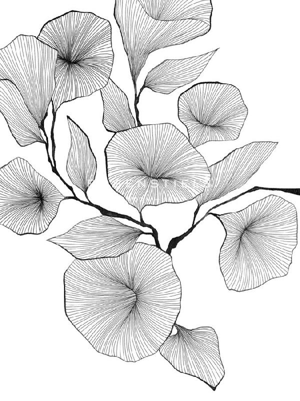 Maja Gunnarsdottir 30 x 40 in. Open Giclee Canvas:"Floral Lines - Harmony"
