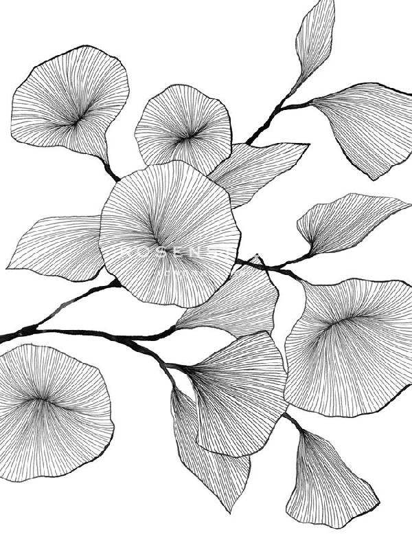 Maja Gunnarsdottir 30 x 40 in. Open Giclee Canvas:"Floral Lines - Melody"