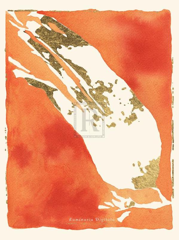 Maja Gunnarsdottir 30 x 40 in. Open Giclee Canvas:"Laminaria Digitata"