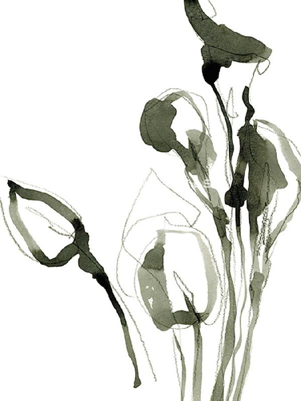 Maja Gunnarsdottir 30 x 40 in. Open Giclee Canvas:"Sketched Moments - Flourish"