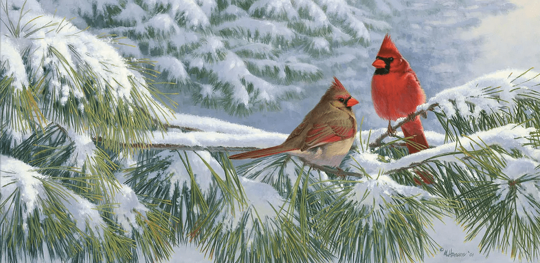 Marc Hanson Limited Edition Print:"Winter Light - Cardinals"