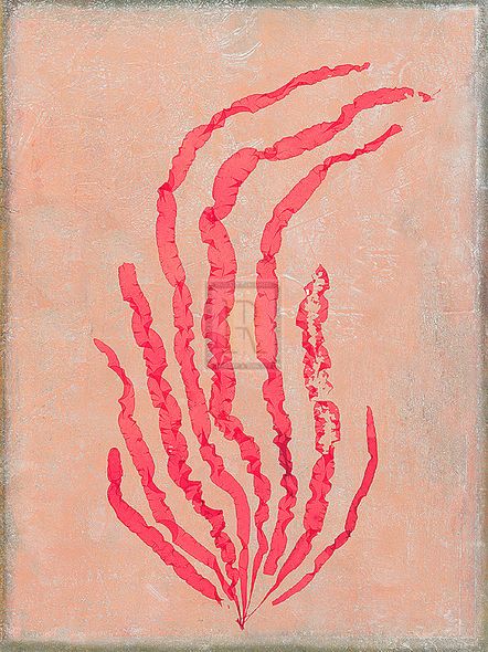 Maria Mendez Hand Numbered Limited Edition Print on Paper :"Coral Island I"