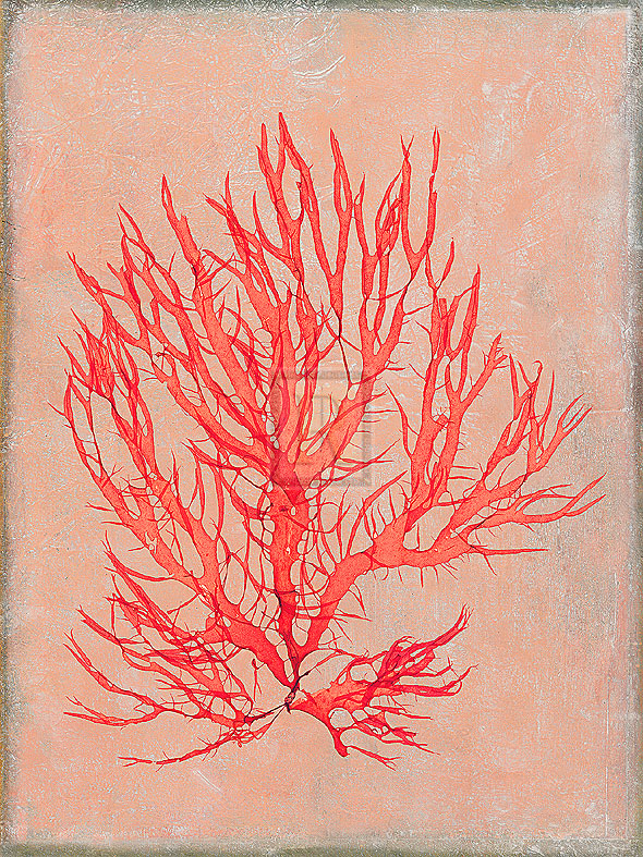 Maria Mendez Hand Numbered Limited Edition Print on Paper :"Coral Island II"