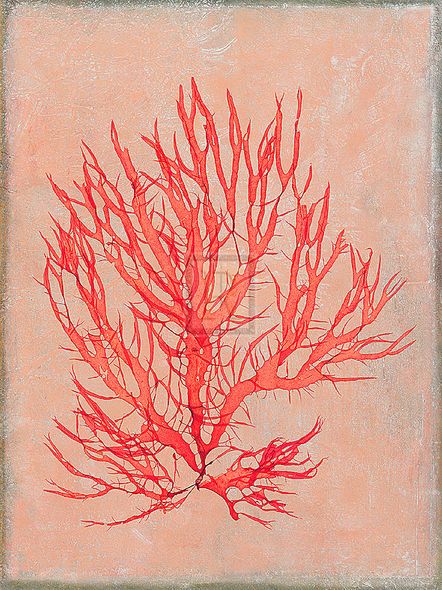 Maria Mendez Hand Numbered Limited Edition Print on Paper :"Coral Island II"