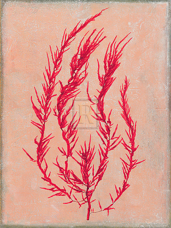 Maria Mendez Hand Numbered Limited Edition Print on Paper :"Coral Island III"