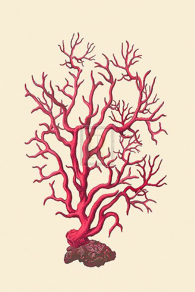 Maria Mendez Hand Numbered Limited Edition Print on Paper :"Coral Seas I"