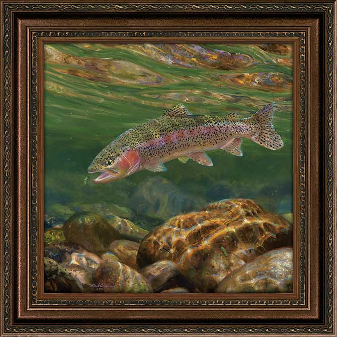 Mark A Susinno Framed Limited Edition Canvas: "Rainbow & Rhyacophila"