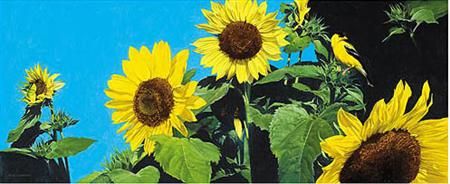 Mark Eberhard Handsigned & Numbered Limited Edition Giclee on Canvas:"Summer Gold"