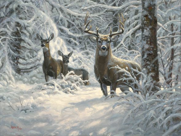 Mark Keathley Hand Signed and Numbered Limited Edition Embellished Canvas Giclee:"Winter Lace"
