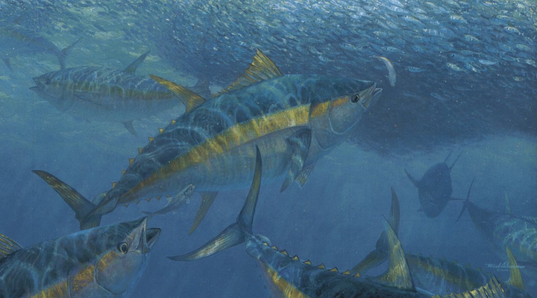 Mark Susinno Handsigned & Numbered Limited Edition Print:"Wrecking Crew - Yellowfin Tuna"