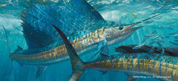 Mark Susinno Limited Edition Premier Giclée Canvas:"Batting Cleanup - Sailfish"