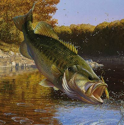 Mark Susinno Limited Edition Print:"Cartwheeling-Largemouth Bass"