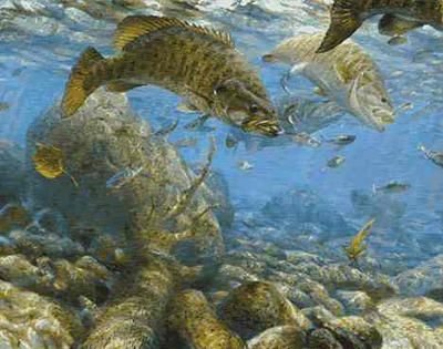 Mark Susinno Limited Edition Print: "Fall Frenzy-Small Mouth"