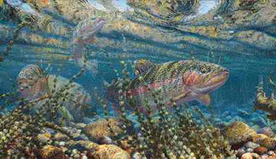 Mark Susinno Limited Edition Print: "Matching the Hatch - Rainbow Trout"