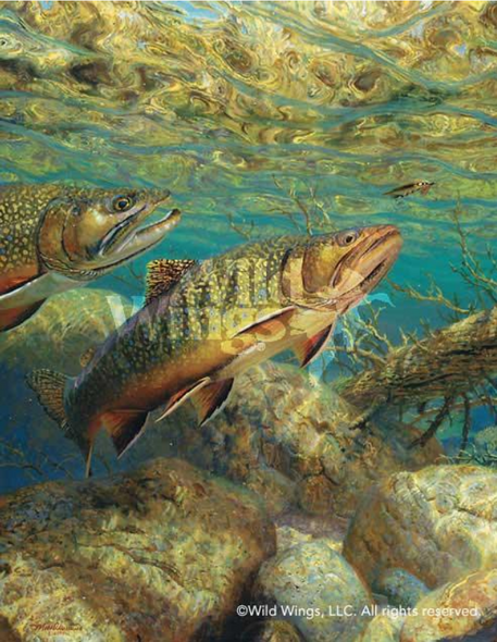 Mark Susinno Limited Edition Print: "The Competitors- Brook Trout"
