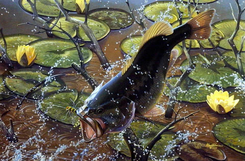 Mark Sussino Print-Signed and Numbered:"Airborne- Largemouth Bass"