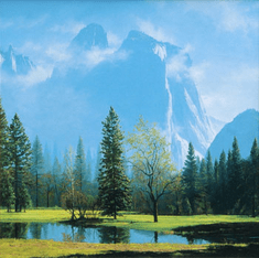 Mark Weber