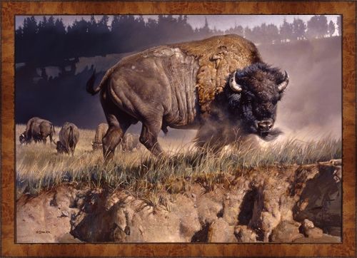 Nancy Glazier 45 X 65 Framed Canvas Giclee Art:"Buffalo Ledge"