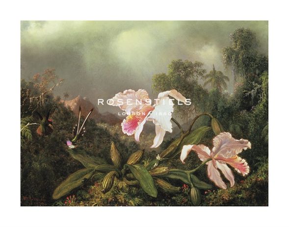 Martin Heade Hand Numbered Limited Edition Print on Paper :"Jungle Orchid And Hummingbirds"