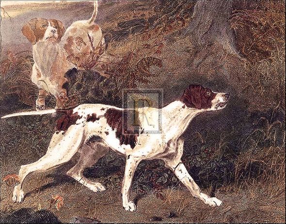 Martin Theodore Ward Artist Hand Colored Copper Plate Printed Atelier Print:"The Pointer"