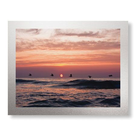 Matt Lusk Limited Edition Ready to Hang Giclee on Brushed Aluminum: "Pelican Sunrise"