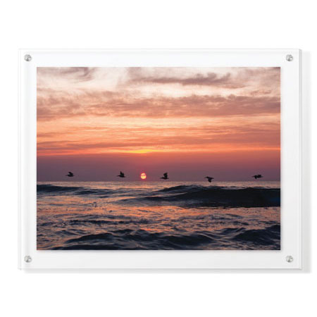 Matt Lusk Limited Edition Ready to Hang Giclee on Clear Acrylic: "Pelican Sunrise"