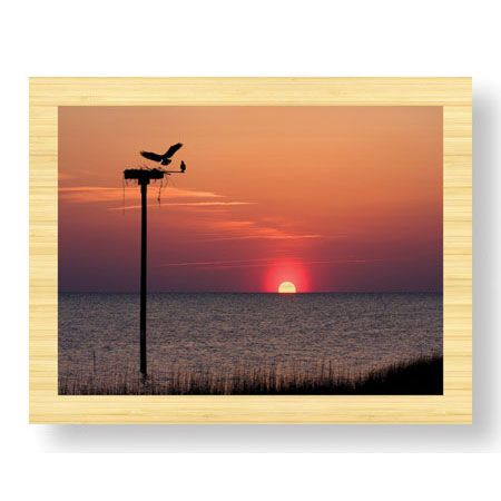 Matt Lusk Limited Edition Ready to Hang Giclee on Sustainable Bamboo: "Osprey"