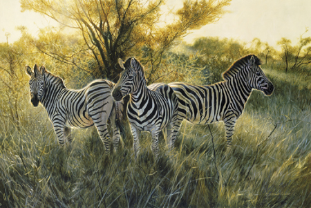 Matthew Hillier Handsigned & Numbered Limited Giclee on Canvas:"The Three Graces "