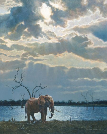 Matthew Hillier Limited Edition Giclee Canvas:"The Sentinel"