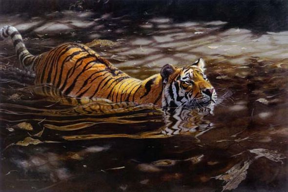 Matthew Hillier Limited Edition Print:"Jungle Crossing"