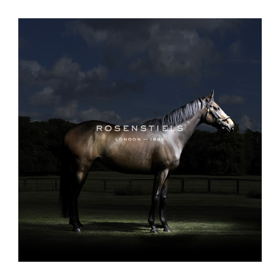 Matthew Seed Hand Numbered Limited Edition Print on Paper :"A Different Light"