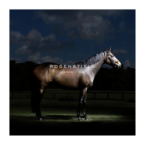 Matthew Seed Hand Numbered Limited Edition Print on Paper :"A Different Light"