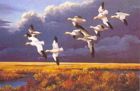 MAYNARD REECE 16X24 Secondary Market Art: "DARK SKY SNOW GEESE"