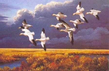 MAYNARD REECE 16X24 Secondary Market Art: "DARK SKY SNOW GEESE"