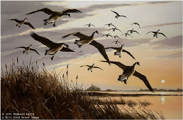 MAYNARD REECE 18X27 Secondary Market Art: "SUNSET CANADA GEESE"