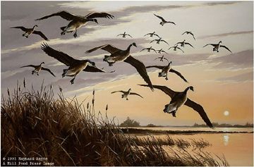 MAYNARD REECE 18X27 Secondary Market Art: "SUNSET CANADA GEESE"