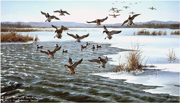 MAYNARD REECE 19X32 Secondary Market Art: "ICY WATER MALLARDS"