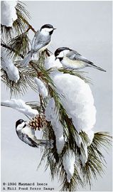 MAYNARD REECE 23X15 Secondary Market Art: "RED PINE CHICKADEES"