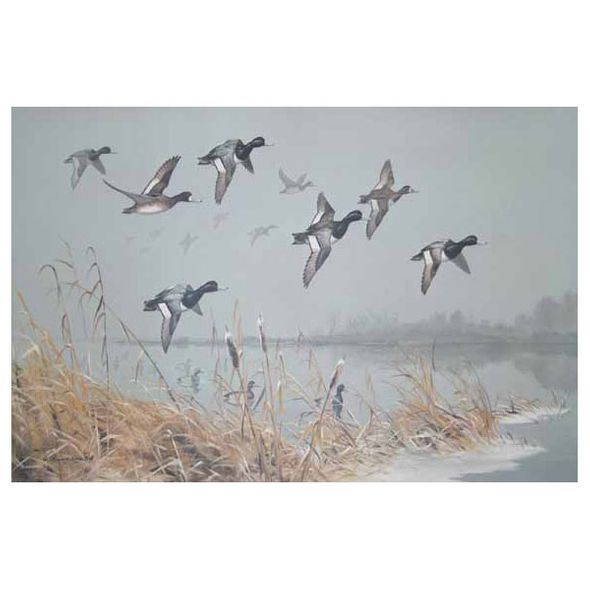 MAYNARD REECE Secondary Market Art: "OVER THE POINT SCAUP"